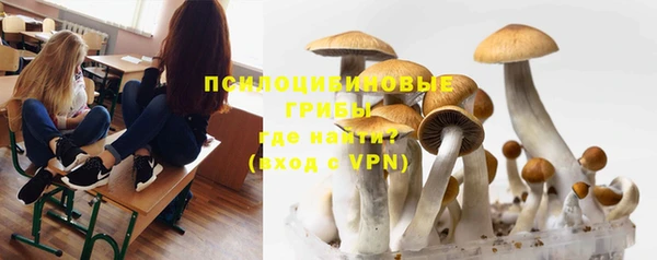 MESCALINE Алзамай