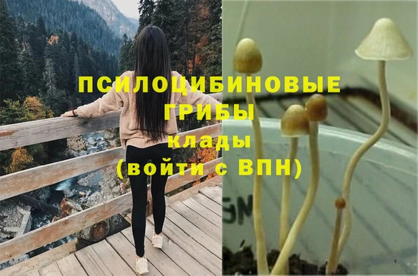 соль курить ск Алексеевка