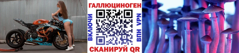 Псилоцибиновые грибы Psilocybine cubensis  Бахчисарай 