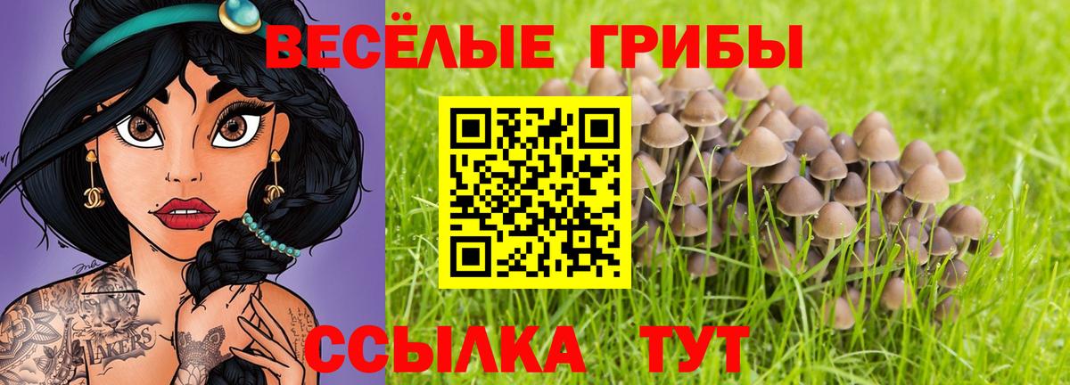 купить закладку  Вход с VPN  Бахчисарай  Галлюциногенные грибы прущие грибы  Галлюциногенные грибы MAGIC MUSHROOMS 