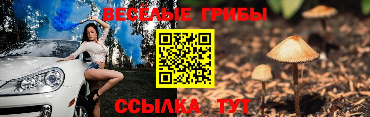 Галлюциногенные грибы Magic Shrooms Бахчисарай
